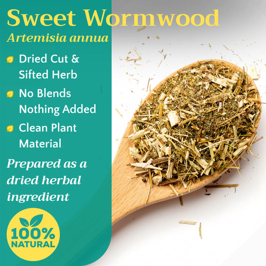 Sweet Wormwood Tea | Loose Leaf Herbal Tea | Artemisia annua