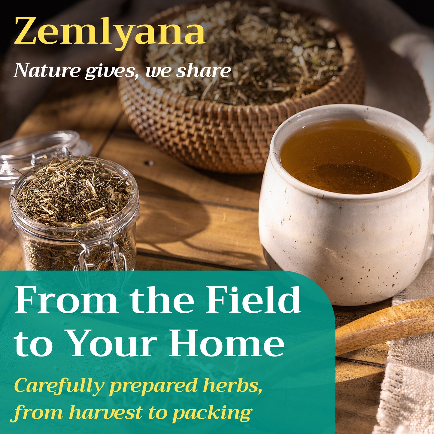 Sweet Wormwood Tea | Loose Leaf Herbal Tea | Artemisia annua