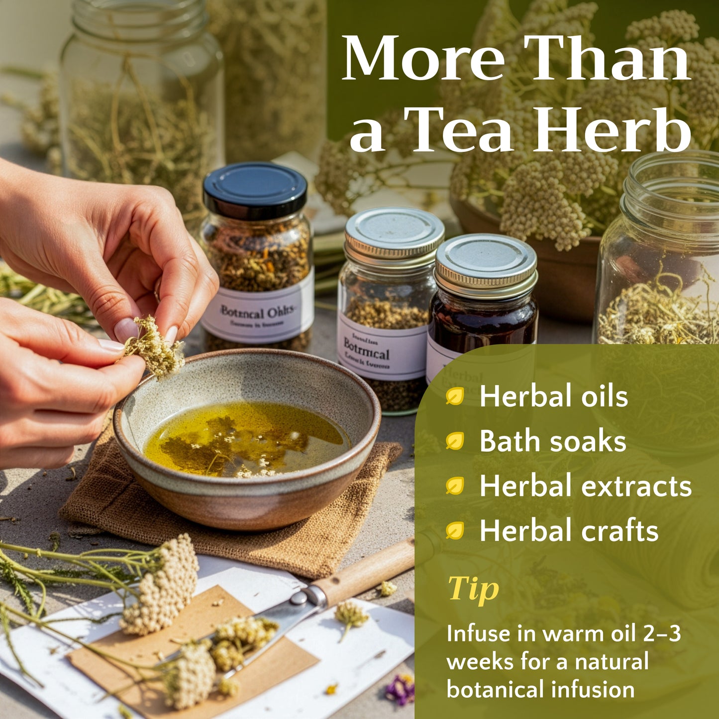 Yarrow Flower Tea | Loose Leaf Herbal Tea | Achillea millefolium