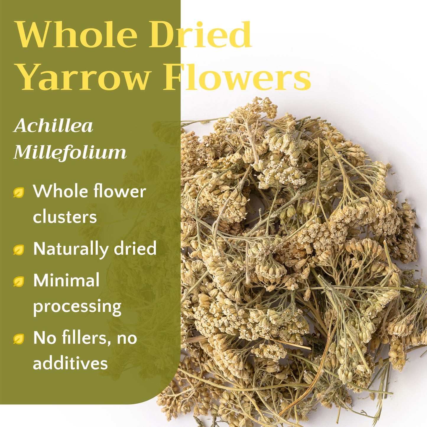 Yarrow Flower Tea | Loose Leaf Herbal Tea | Achillea millefolium Bulk