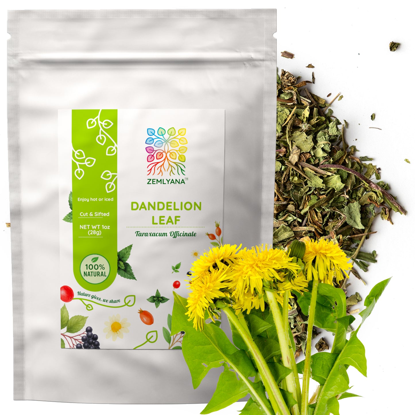 Dandelion Leaf Tea | Loose Leaf Herbal Tea | Taraxacum officinale