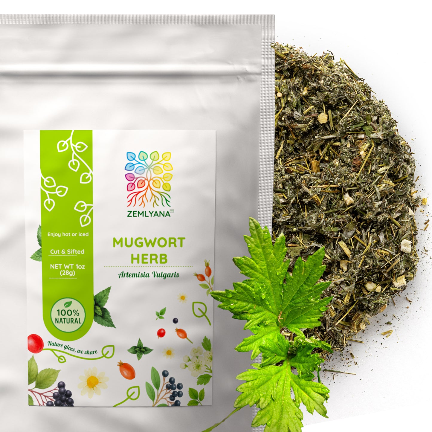 Mugwort Herb Tea | Loose Leaf Herbal Tea | Artemisia vulgaris