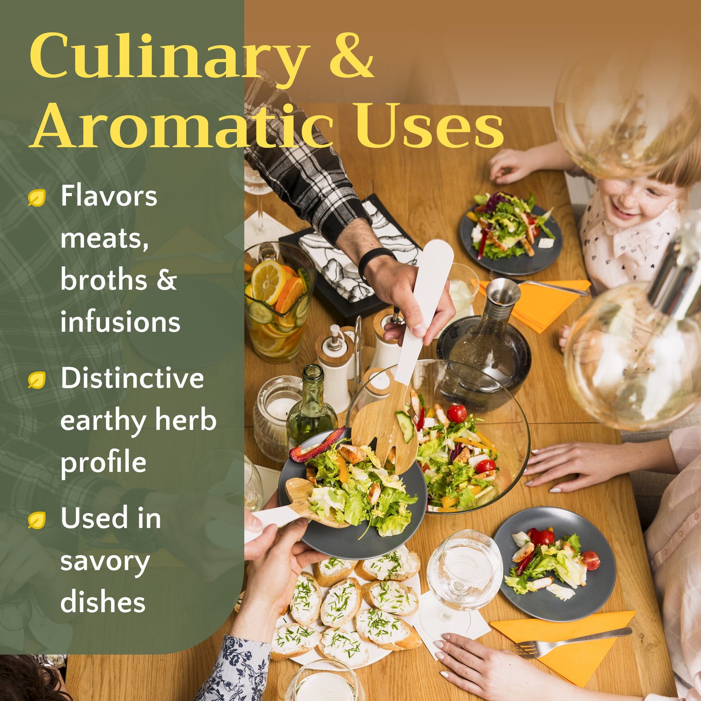 Mugwort Herb Tea | Loose Leaf Herbal Tea | Artemisia vulgaris