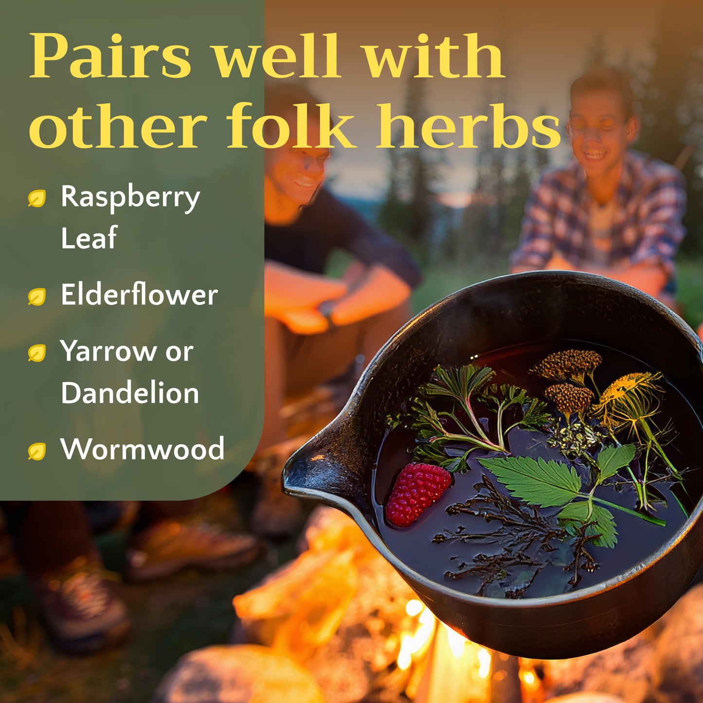 Mugwort Herb Tea | Loose Leaf Herbal Tea | Artemisia vulgaris