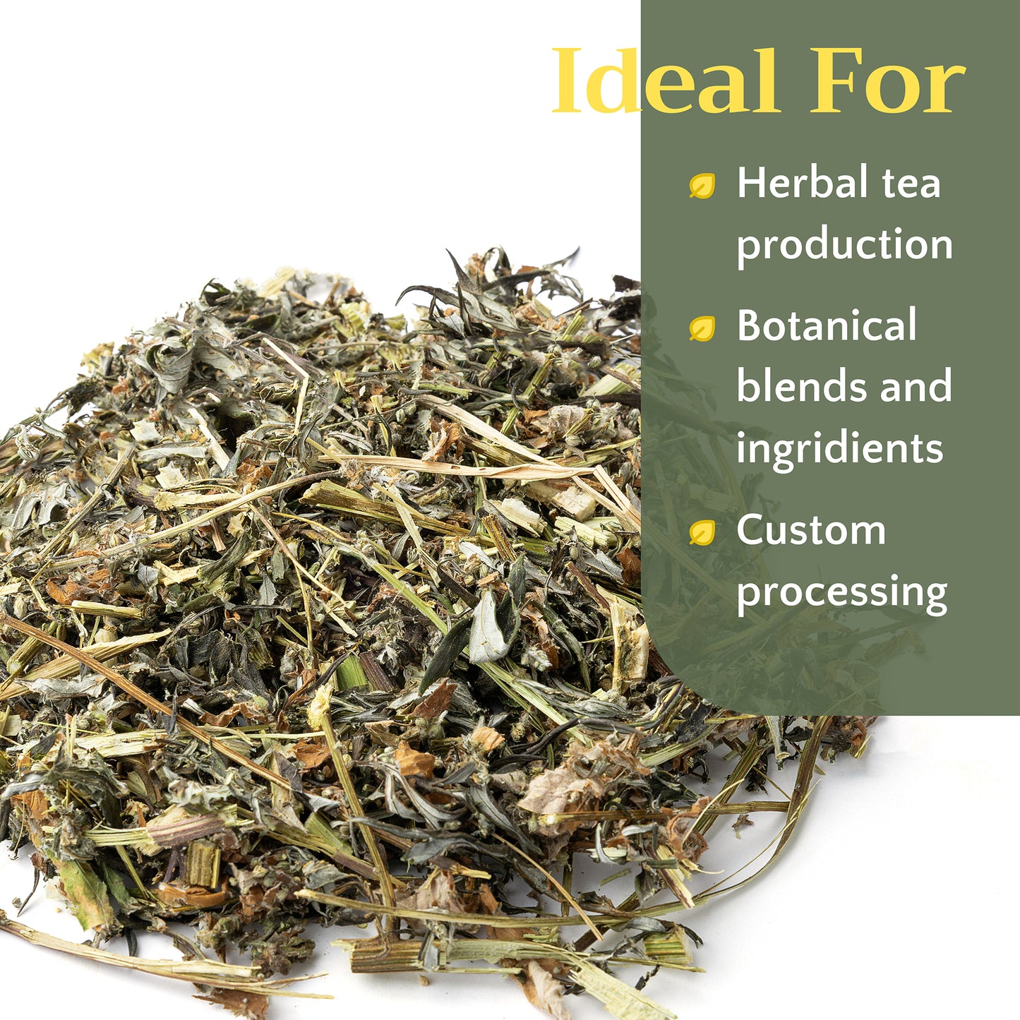 Mugwort Herb Tea | Loose Leaf Herbal Tea | Artemisia vulgaris Bulk
