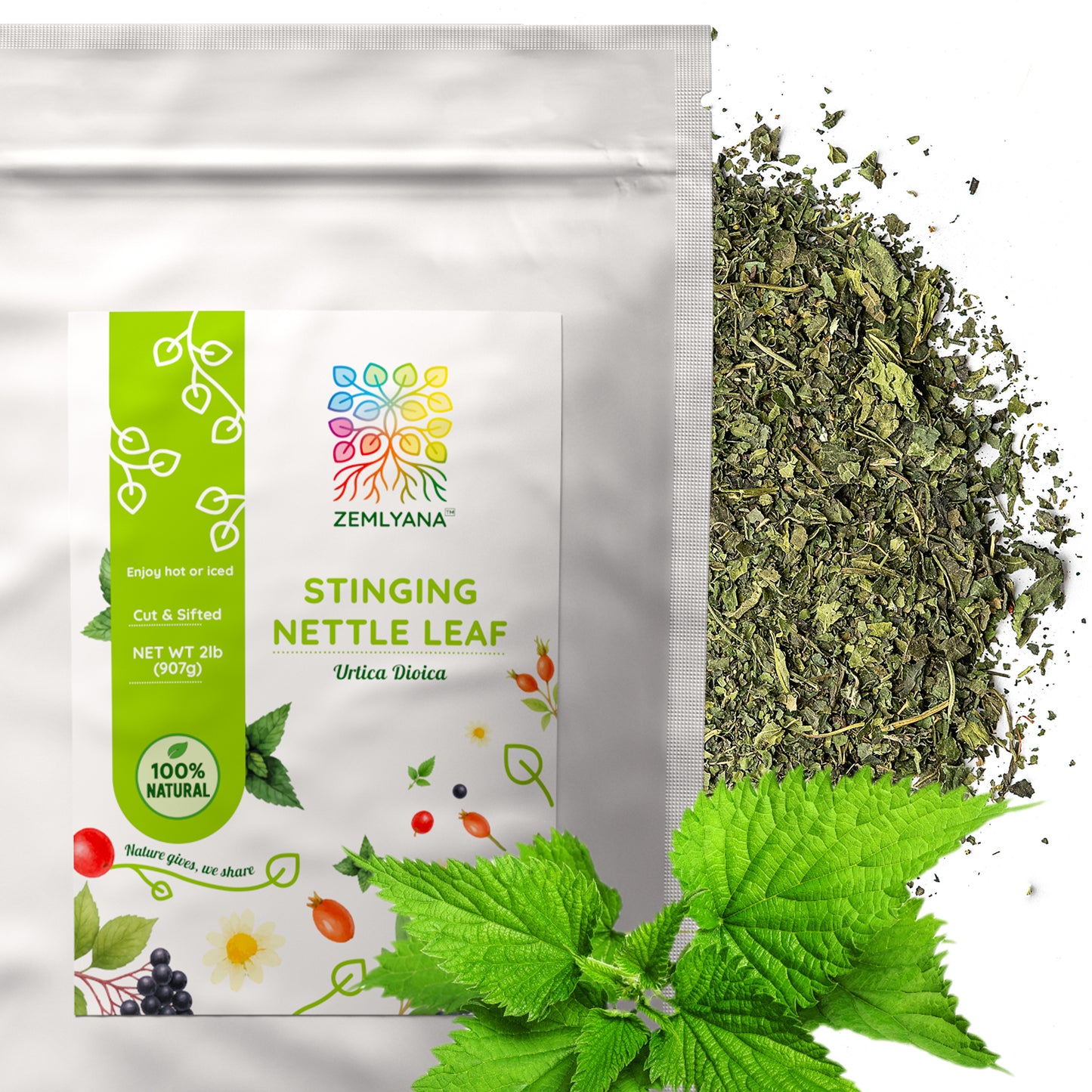 Stinging Nettle Leaf Tea | Loose Leaf Herbal Tea | Urtica dioica