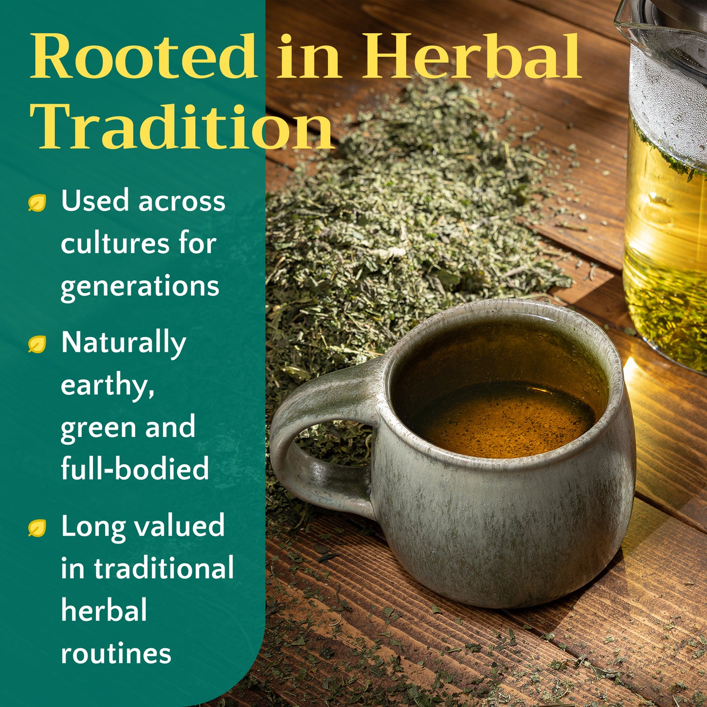 Stinging Nettle Leaf Tea | Loose Leaf Herbal Tea | Urtica dioica