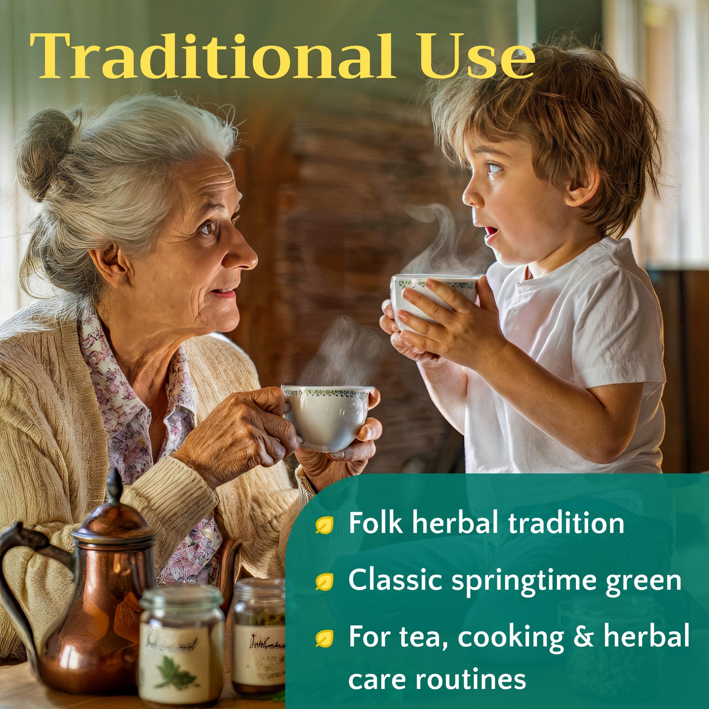 Stinging Nettle Leaf Tea | Loose Leaf Herbal Tea | Urtica dioica