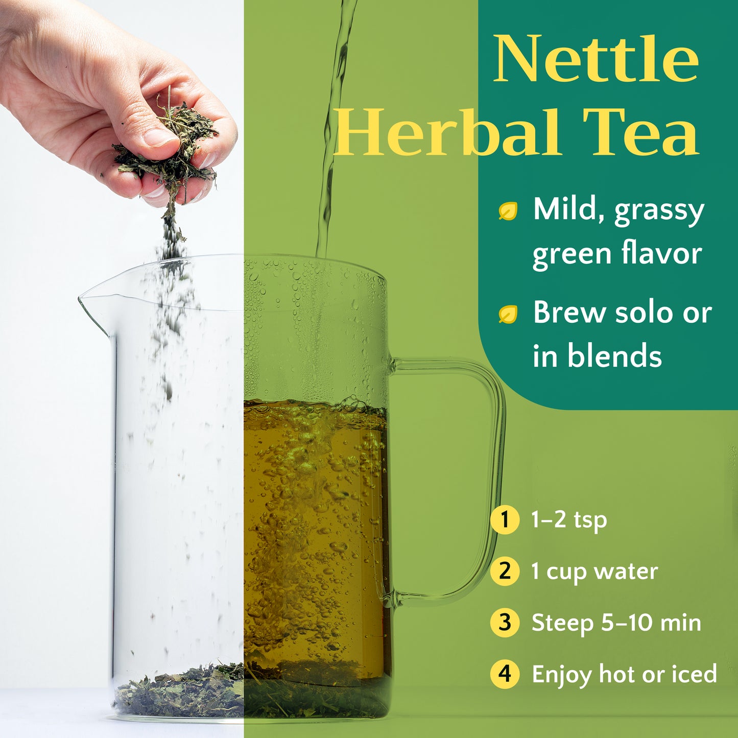 Stinging Nettle Leaf Tea | Loose Leaf Herbal Tea | Urtica dioica