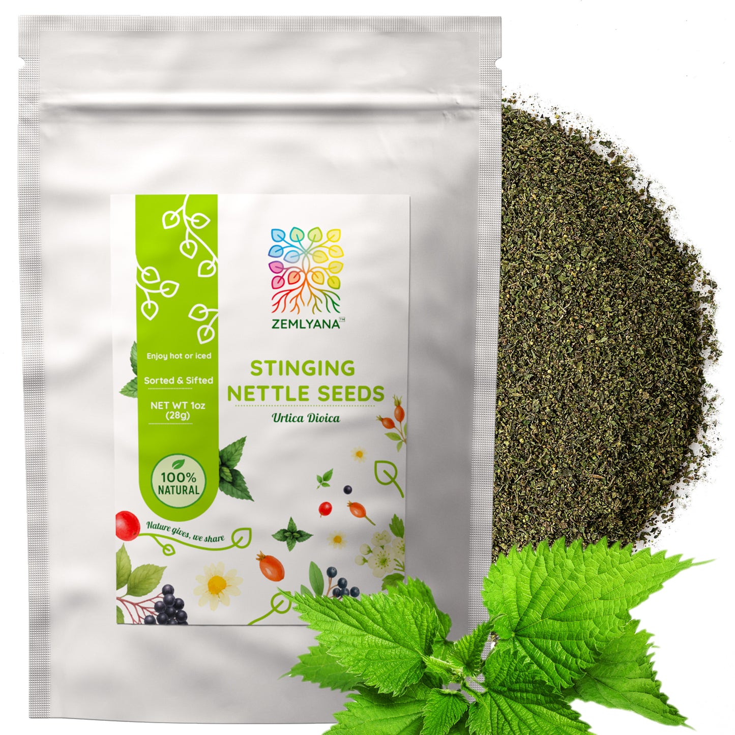 Stinging Nettle Seeds | Wild-Harvested Herbal Seeds | Urtica dioica