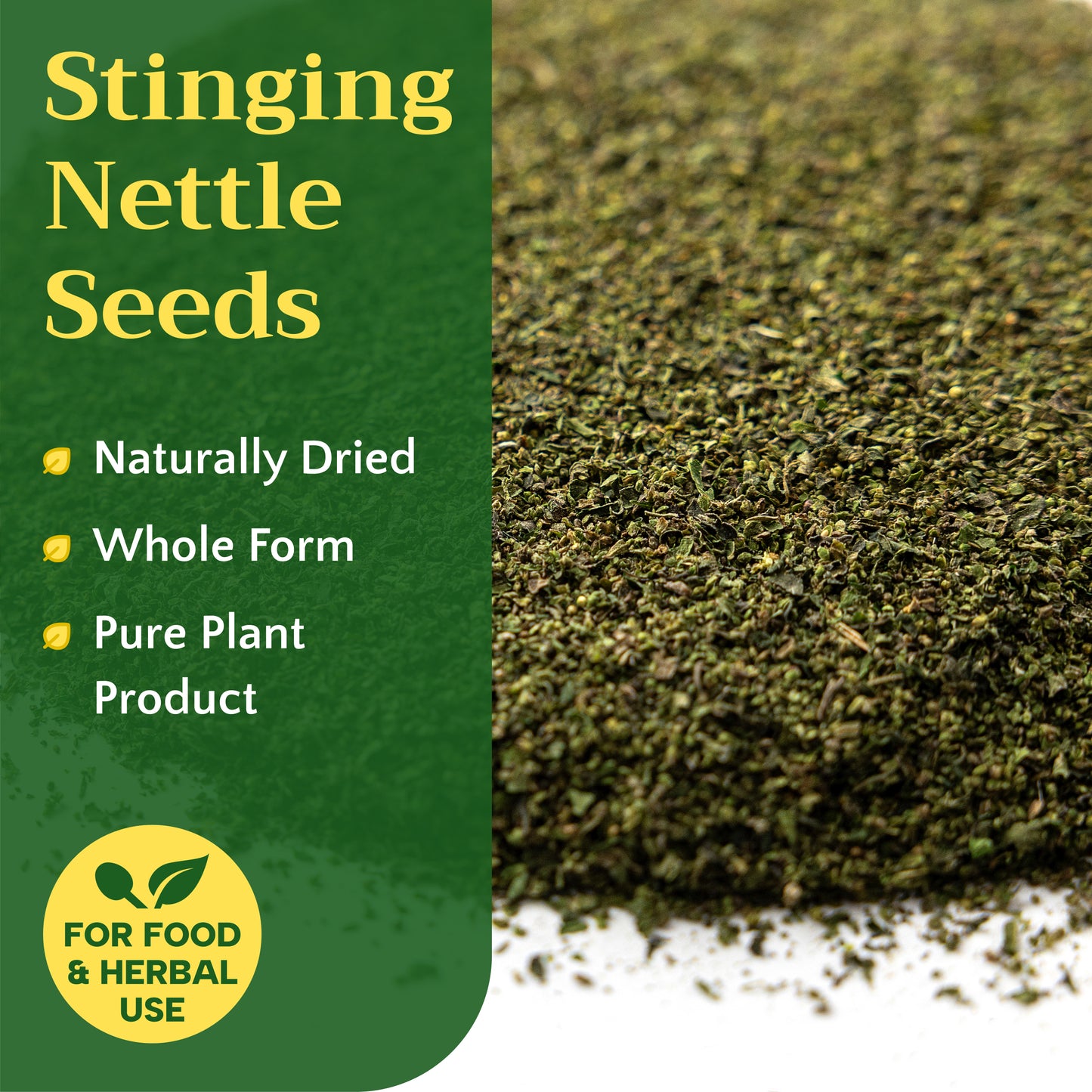 Stinging Nettle Seeds | Wild-Harvested Herbal Seeds | Urtica dioica