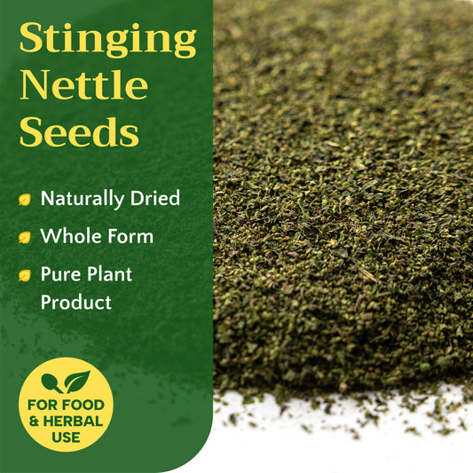 Stinging Nettle Seeds | Wild-Harvested Herbal Seeds | Urtica dioica