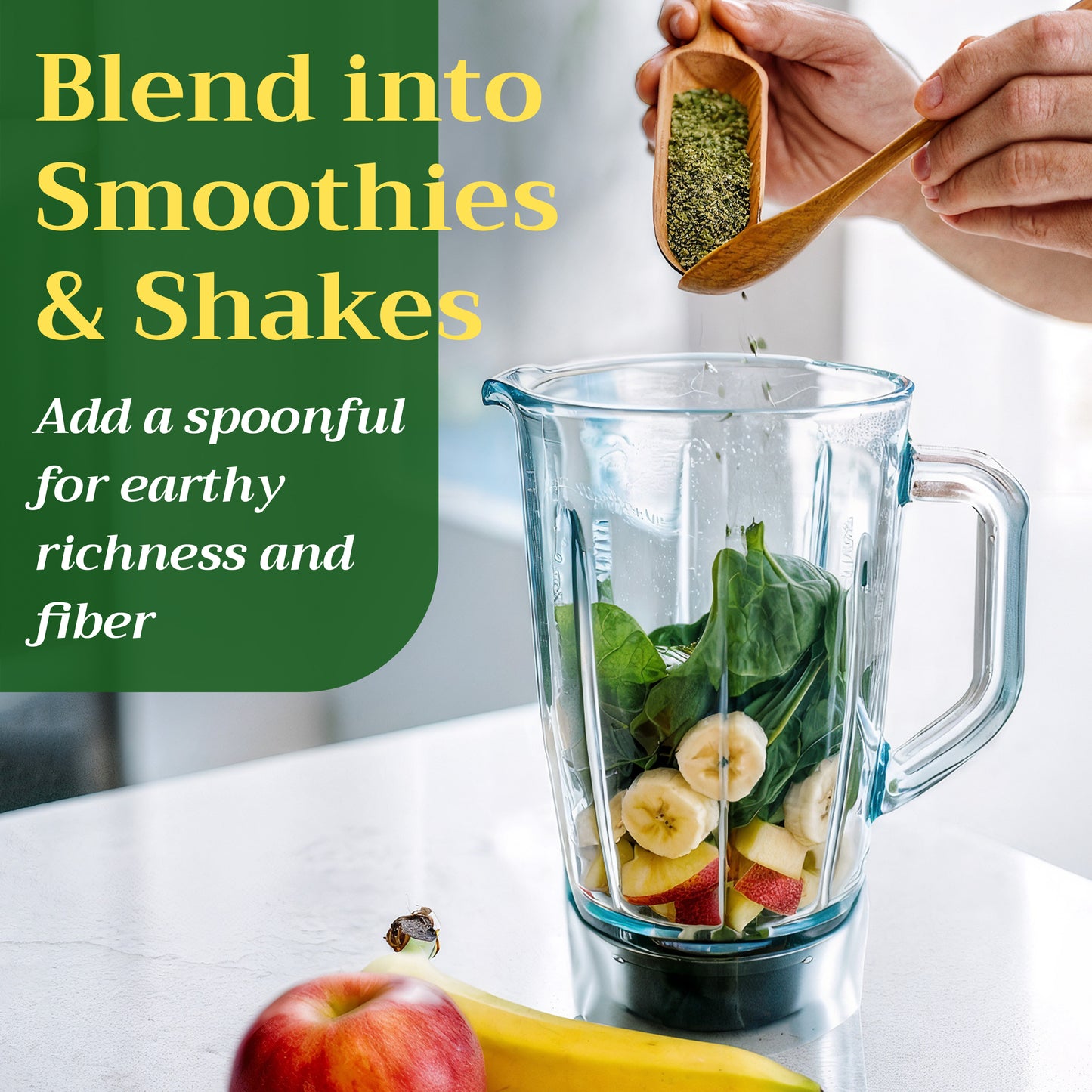 Stinging Nettle Seeds | Wild-Harvested Herbal Seeds | Urtica dioica