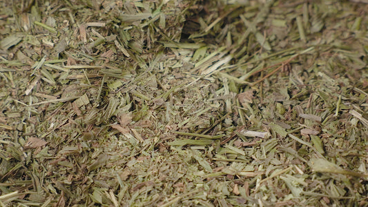 Sweet Woodruff Tea | Loose Leaf Herbal Tea | Galium odoratum