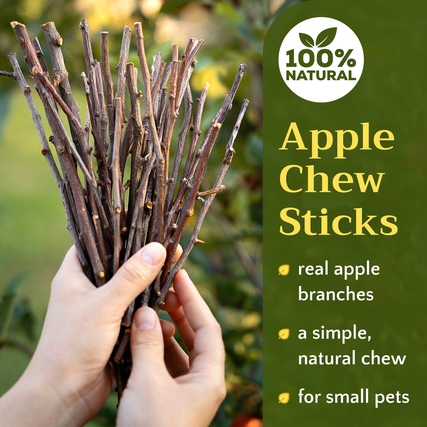 Apple Wood Chew Sticks | Natural Pet Toys | Small Animal Chews