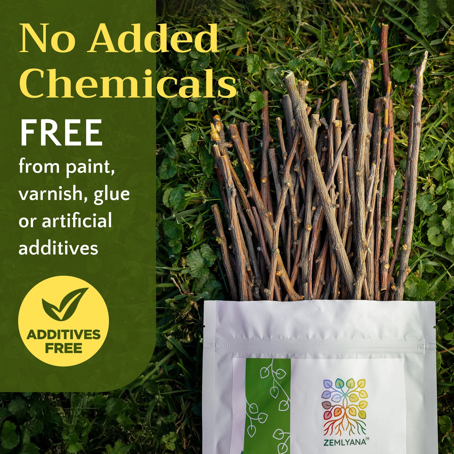 Apple Wood Chew Sticks | Natural Pet Toys | Small Animal Chews